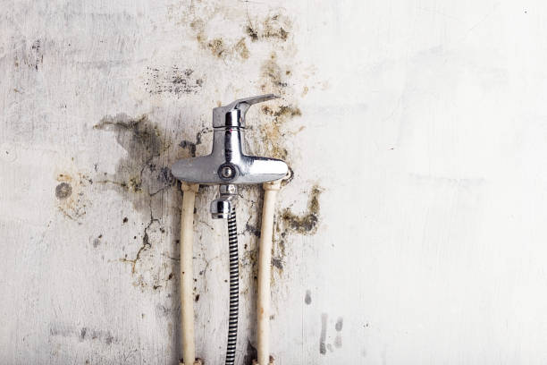 Best Mold Remediation  in Pismo Beach, CA