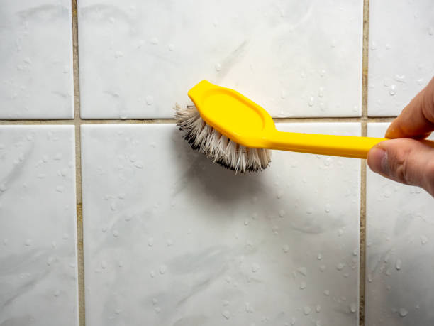Best Attic Mold Removal  in Pismo Beach, CA