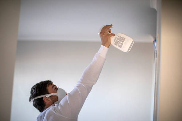 Best Certified Mold Removal  in Pismo Beach, CA