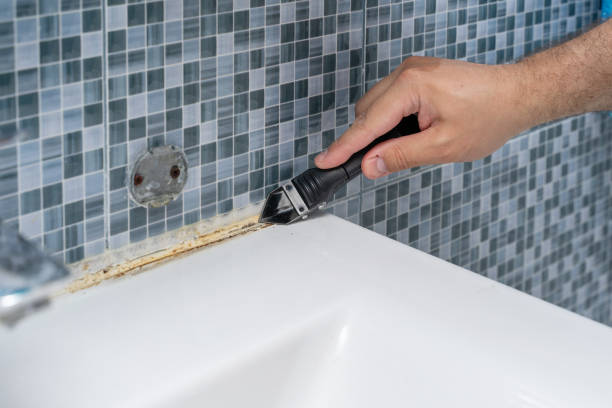 Best Mold Removal Company Near Me  in Pismo Beach, CA